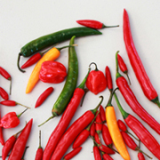 Chili Sauce