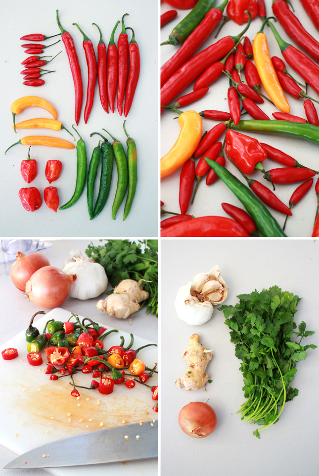 Recipe for Chili Sauce | casinositekor.highwallsblog.com