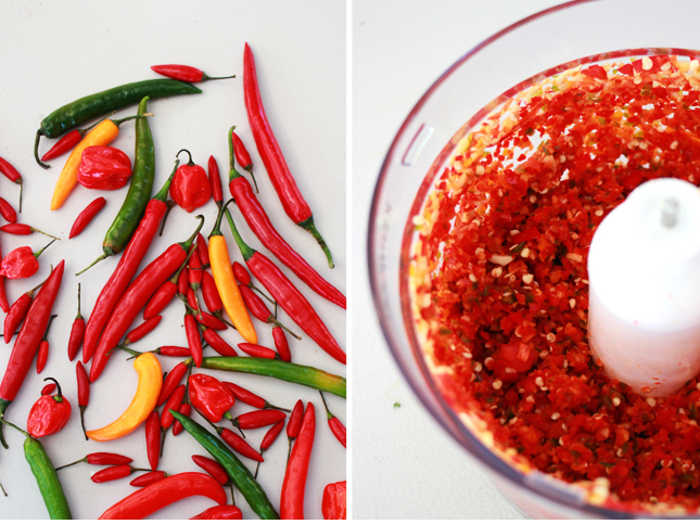 Recipe for Chili Sauce | casinositekor.highwallsblog.com