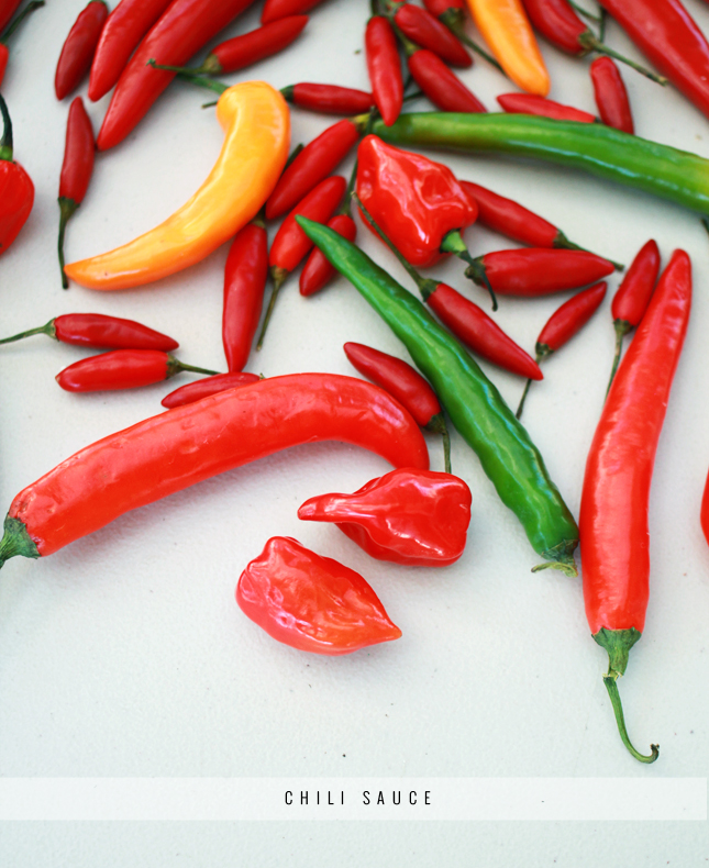 Recipe for Chili Sauce | casinositekor.highwallsblog.com