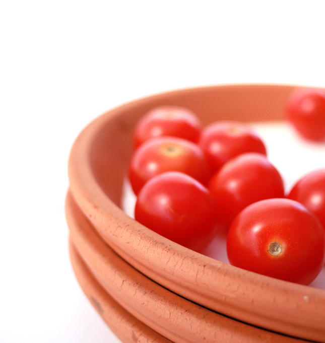 From the Garden to the Table: DIY Terracotta Dinnerware | casinositekor.highwallsblog.com