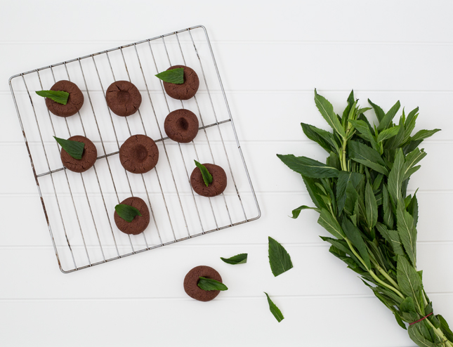 RECIPE | Choc Mint Drops By Erika Rax for casinositekor.highwallsblog.com (blog.erikarax.com/)