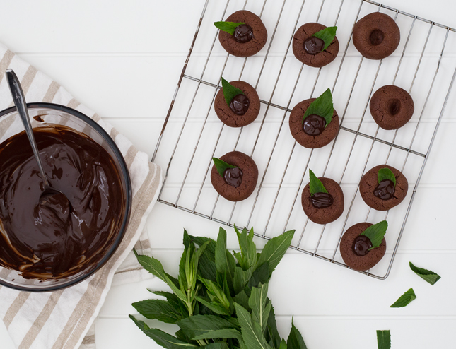 RECIPE | Choc Mint Drops By Erika Rax for casinositekor.highwallsblog.com (blog.erikarax.com/)