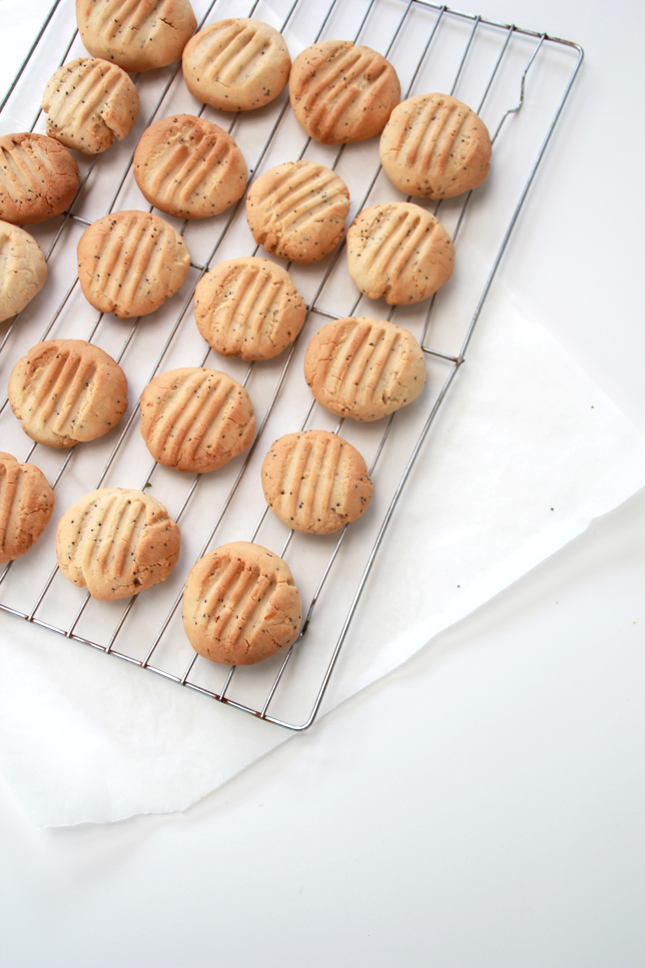 GLUTEN FREE Lemon, Honey & Poppy Seed Cookies | Recipe from casinositekor.highwallsblog.com
