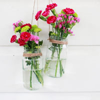 thumb-hangingvase