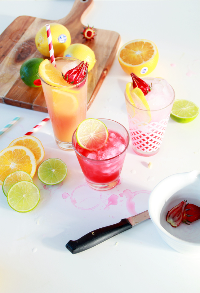 3 Rosella & Vodka Cocktails -  See the full recipes at casinositekor.highwallsblog.com