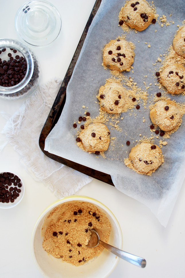 Chocolate Chip Crumb Cookie Ice Cream Sandwiches! WOW! | casinositekor.highwallsblog.com