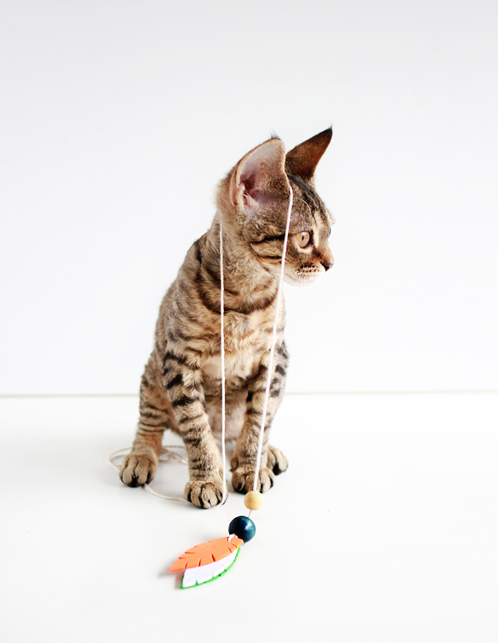 Entertain your feline friends: DIY Feathered Cat Toys | casinositekor.highwallsblog.com
