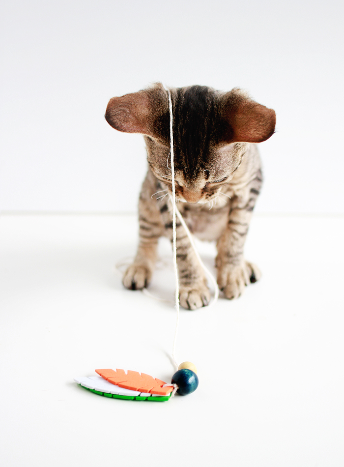 Entertain your feline friends: DIY Feathered Cat Toys | casinositekor.highwallsblog.com
